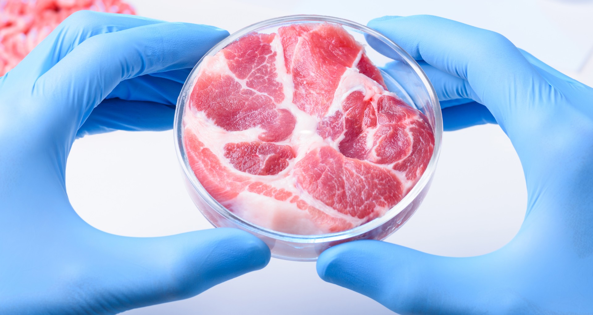 Lab-grown to mainstream: The cellular agriculture boom